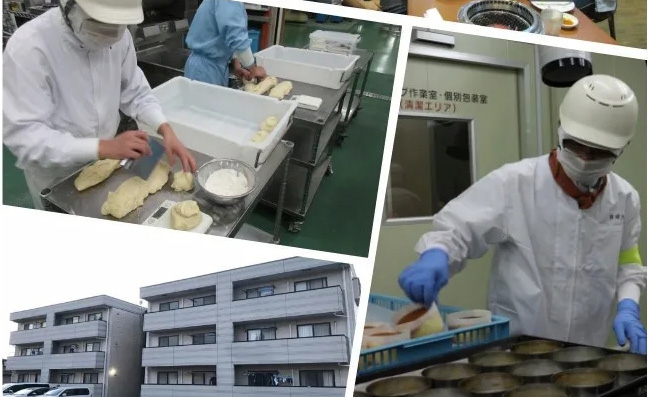 日本2020年8月新單匯總！